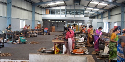 A Cashew Factory